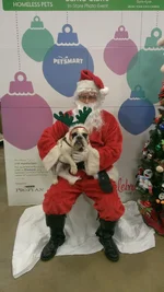 Christmas 2013.webp
