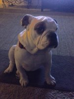 IMG_1003.jpg IMG_1003.jpg