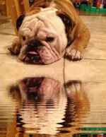 2013-03-07 17.25.53.webp