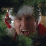 di-chevy_chase_national_lampoon_s_christmas_vacation_quotes-ed044dcea904db461d12f8d1f0a62e0c.jpg