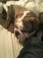 uploadfromtaptalk1390699548760.webp