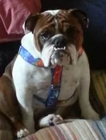 20130826_172658.webp