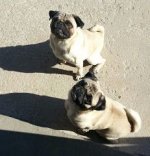 unnamed.jpg unnamed.jpg