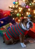 photo(27).webp