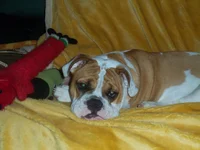 100_0475.webp