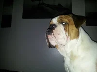 uploadfromtaptalk1386691970887.webp