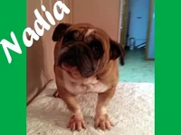 Nadia- St. Louis.webp