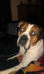 Dozer - Long Island.jpg