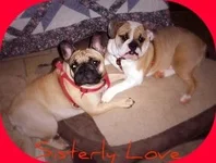 Sisterly Love.webp