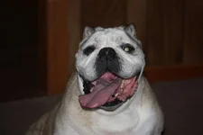 twitpicaudrey.webp