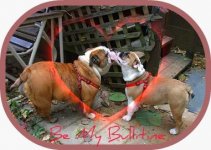 Valentine bullies.jpg