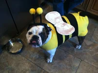 2012-10-14 15.16.00.webp