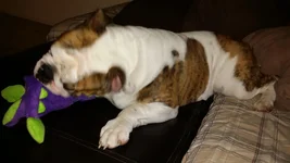 20131222_075023.webp