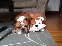 eb.webp