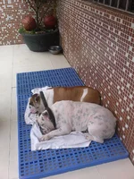 IMG_20130831_112338.webp