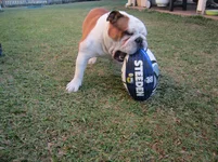 footie 007.webp