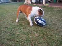 footie 008.webp