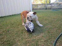 footie 010.webp