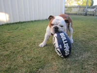 footie 011.webp