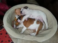 20130811_142523.webp