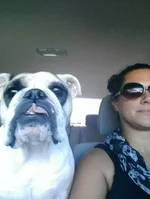 Best Friends.webp