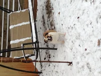 image.webp