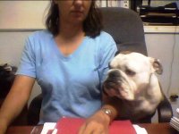 Maggie at work 2.jpg Maggie at work 2.jpg