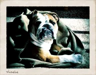 image.webp