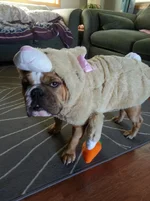 20131008_155105.webp