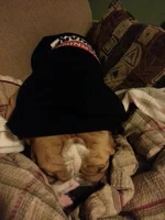20131014_220159.webp