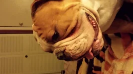 20140129_200332.webp