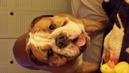 20140129_200207.webp