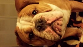 20140129_195944.webp