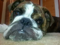 20130602_152525.webp