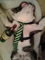 20130316_230331.webp