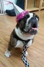 20130728_135951 (2).webp