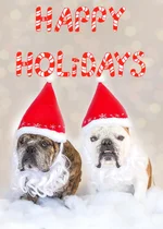 roccochristmas.webp