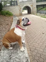 Park1.webp