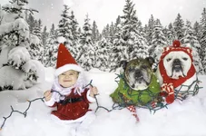 xmascard.webp