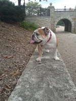 Park3.webp