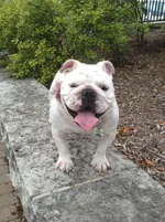 Park4.webp