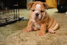 DSC_0092 (2).webp