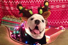 TysonChistmas2.webp