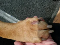 20131018_103929.webp