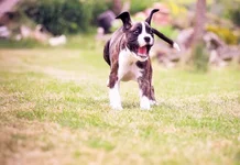 ImageUploadedByTapatalk1382111578.641263.webp ImageUploadedByTapatalk1382111578.641263.webp