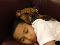 Raven and Ray Cuddling.webp