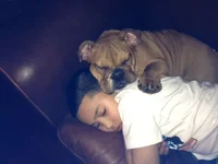 Raven and Ray Napping.webp