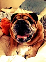 photo.webp