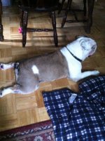 roxy2.jpg roxy2.jpg
