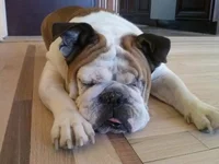 katie1.webp